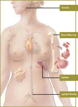 Targeted Therapy India Breast Cancer